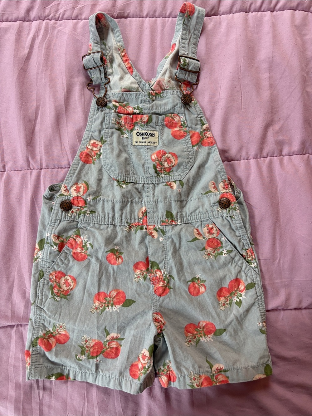 OshKosh B'gosh Light Blue Denim Peach-Print Shortall Overalls 4T